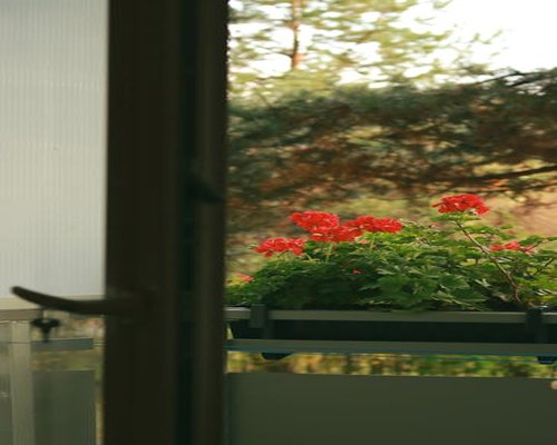 Odpoczynek przy otwartym oknie i zieleni